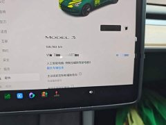 Tesla Model 3 2022 Rear-Wheel Drive - ფოტო 11