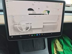 Tesla Model 3 2022 Rear-Wheel Drive - ფოტო 12