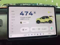 Nio Firefly Luminous Edition - ფოტო 11