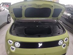 Nio Firefly Luminous Edition - ფოტო 19