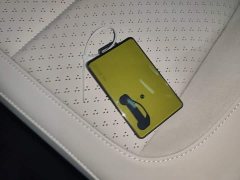 Nio Firefly Luminous Edition - ფოტო 8