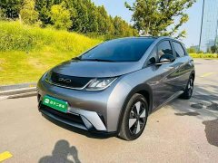 BYD Dolphin 2023 420km Fashion Edition - ფოტო 1