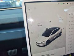 Tesla Model 3 2023 Rear-Wheel Drive - ფოტო 13