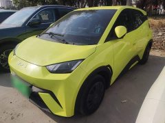 BYD Seagull 2023 Vitality Edition - ფოტო 1