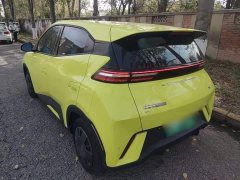 BYD Seagull 2023 Vitality Edition - ფოტო 4