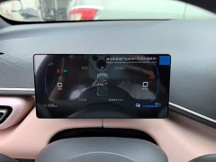 BYD Seagull 2025 Smart Drive 305km Vitality Edition - ფოტო 11