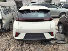 BYD Seagull 2025 Smart Drive 305km Vitality Edition - ფოტო 5