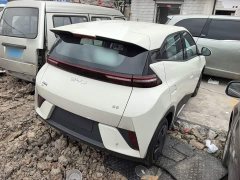 BYD Seagull 2025 Smart Drive 305km Vitality Edition - ფოტო 6