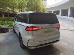 SAIC Rong Wei iMAX8 New Energy 1.5T DMH Land Respect Luxury Edition - ფოტო 4