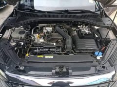 Volkswagen Sagitar 300TSI DSG Excellence Edition - ფოტო 19