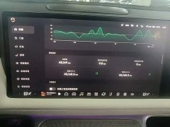XPeng G9 702 Max - ფოტო 12