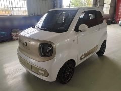 FAW Besturn Xiaoma 170km Vitality Edition - ფოტო 1