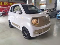FAW Besturn Xiaoma 170km Vitality Edition - ფოტო 3
