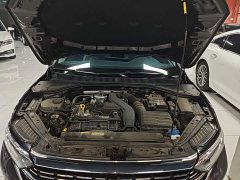 Volkswagen Sagitar 300TSI DSG Excellence Edition - ფოტო 19
