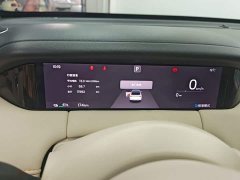 Wuling Bingo S 430km Flagship - ფოტო 11