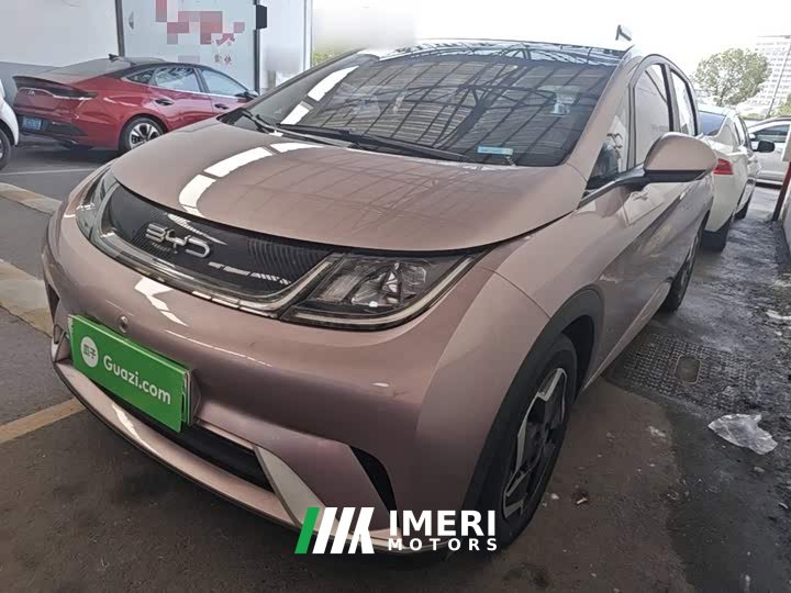 BYD Dolphin 405km Fashion Edition - ავტომობილი ჩინეთიდან