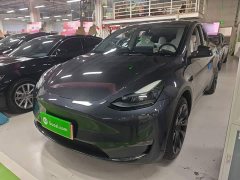 Tesla Model Y Long Range All-Wheel Drive - ფოტო 1