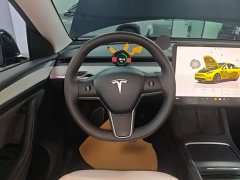 Tesla Model Y Long Range All-Wheel Drive - ფოტო 10