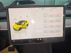 Tesla Model Y Long Range All-Wheel Drive - ფოტო 11