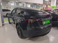 Tesla Model Y Long Range All-Wheel Drive - ფოტო 4