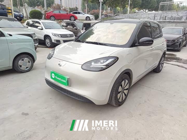 Wuling Binguo 333km Joy Edition