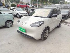 Wuling Binguo 2024 333km Joy Edition - ფოტო 1