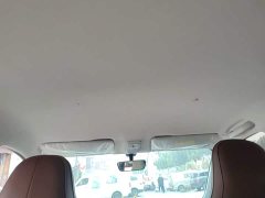 Wuling Binguo 2024 333km Joy Edition - ფოტო 17