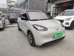 Wuling Binguo 2024 333km Joy Edition - ფოტო 3