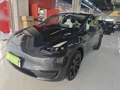 Tesla Model Y Rear-Wheel Drive - ფოტო 1