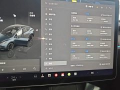 Tesla Model Y Rear-Wheel Drive - ფოტო 11