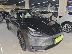 Tesla Model Y Rear-Wheel Drive - ფოტო 3