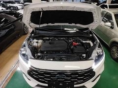 Ford Sharp 2020 EcoBoost 245 FWD Prestige - ფოტო 19
