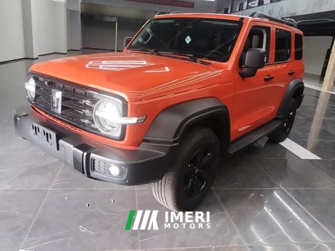 2023 Tank 300 Off-Road Edition 2.0T Conqueror - ავტომობილი ჩინეთიდან