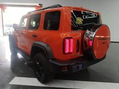 Tank 300 Off-Road Edition 2.0T Conqueror - ფოტო 4