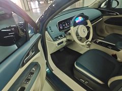 ORA Good Cat 400km Standard Range Athena Edition LFP Battery - ფოტო 15