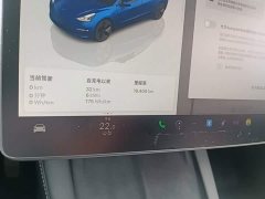 Tesla Model 3 2022 Rear-Wheel Drive - ფოტო 11