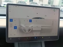 Tesla Model 3 2022 Rear-Wheel Drive - ფოტო 12