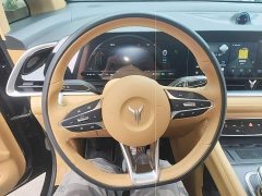 Voyah Dream PHEV Extended Range Luxury Edition - ფოტო 10