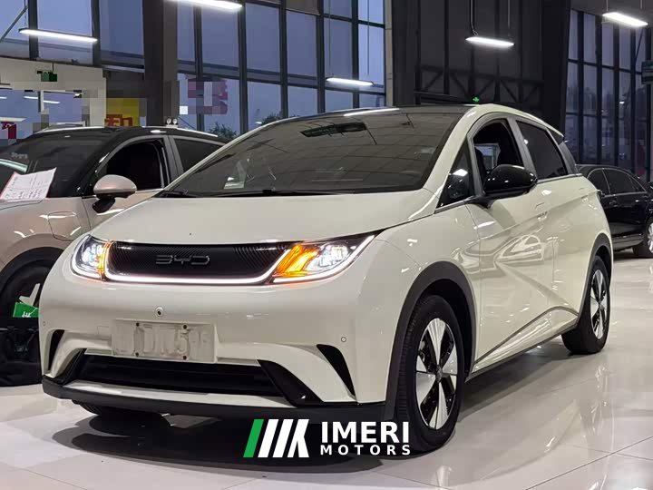 BYD Dolphin 2023 420km Fashion Edition - ავტომობილი ჩინეთიდან