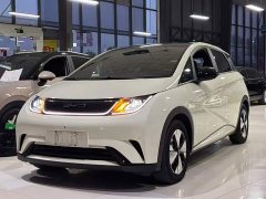 BYD Dolphin 2023 420km Fashion Edition - ფოტო 1