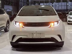 BYD Dolphin 2023 420km Fashion Edition - ფოტო 2