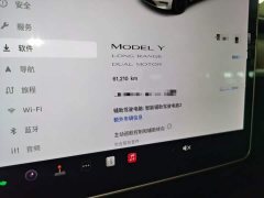 Tesla Model Y Long Range All-Wheel Drive 3D7 - ფოტო 11