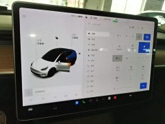 Tesla Model Y Long Range All-Wheel Drive 3D7 - ფოტო 12