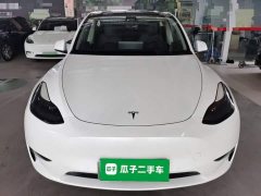 Tesla Model Y Long Range All-Wheel Drive 3D7 - ფოტო 2