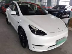 Tesla Model Y Long Range All-Wheel Drive 3D7 - ფოტო 3