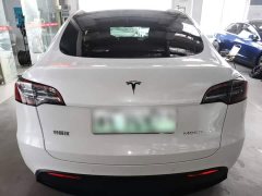 Tesla Model Y Long Range All-Wheel Drive 3D7 - ფოტო 5
