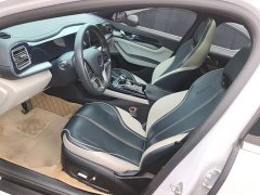 BYD Qin PLUS EV 400KM Luxury - ფოტო 14