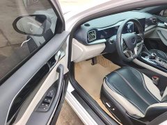 BYD Qin PLUS EV 400KM Luxury - ფოტო 15