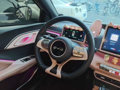 BYD Seagull 2025 405km Flying Edition - ფოტო 10