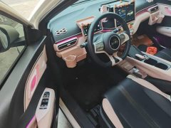 BYD Seagull 2025 405km Flying Edition - ფოტო 15